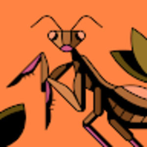 Meet your Posher, Cora